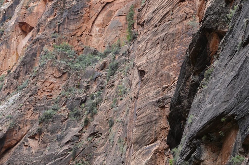 Rock Cliff Canyon (DSC03016)