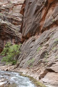 Rushing Stream in Rock Canyon (DSC03185)