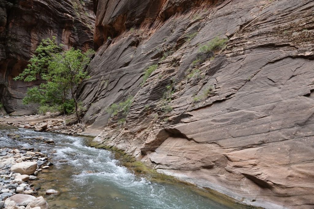 Rushing Stream in Rock Canyon (DSC03186)