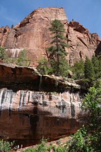 Waterfall from Emerald Pool Zion NP (DSC03383)