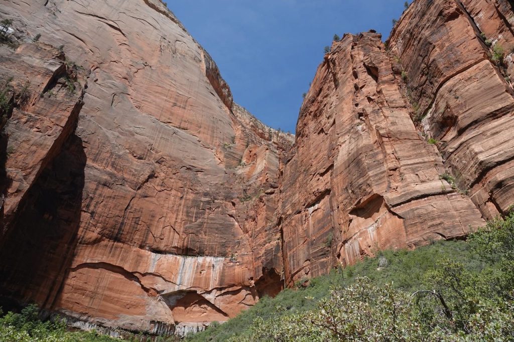 Rock Cliff Face Zion NP (DSC03389)