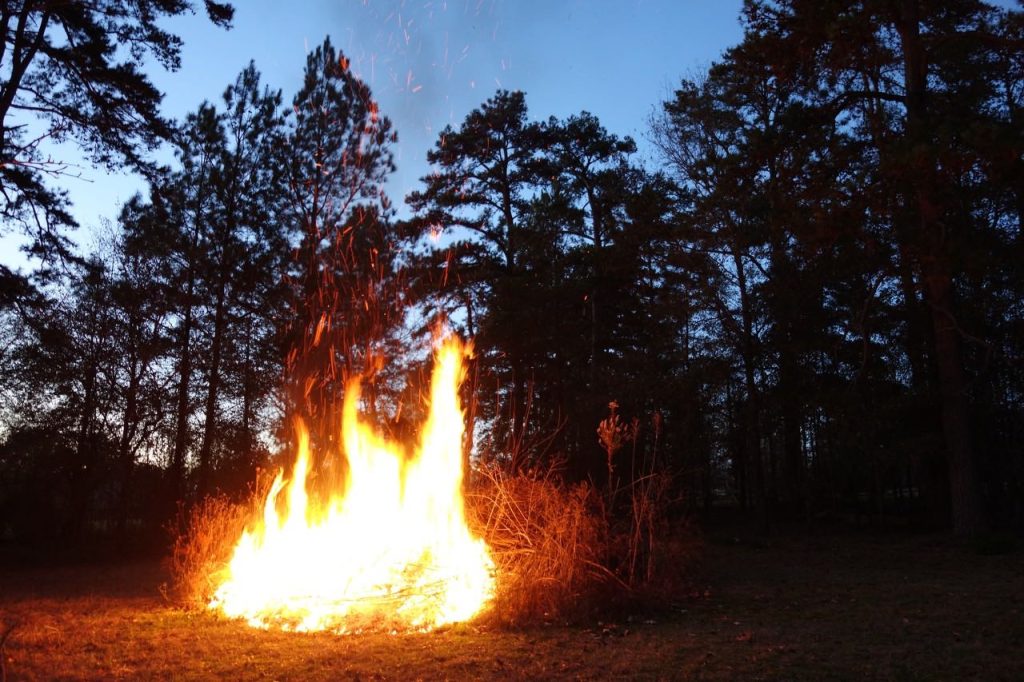 Bonfire and Pine Trees (DSC05856)