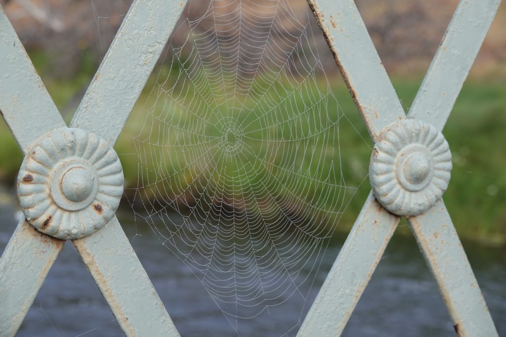 Spiderweb on Bridge (DSC07231)