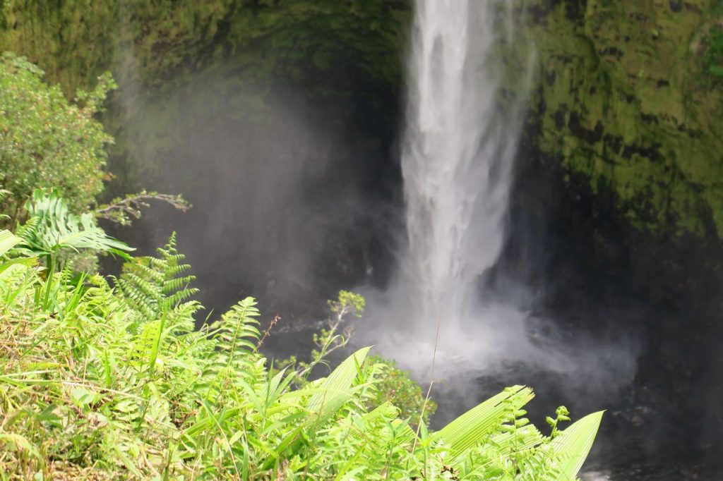 Akaka Falls with Ferns (IMG_0204)
