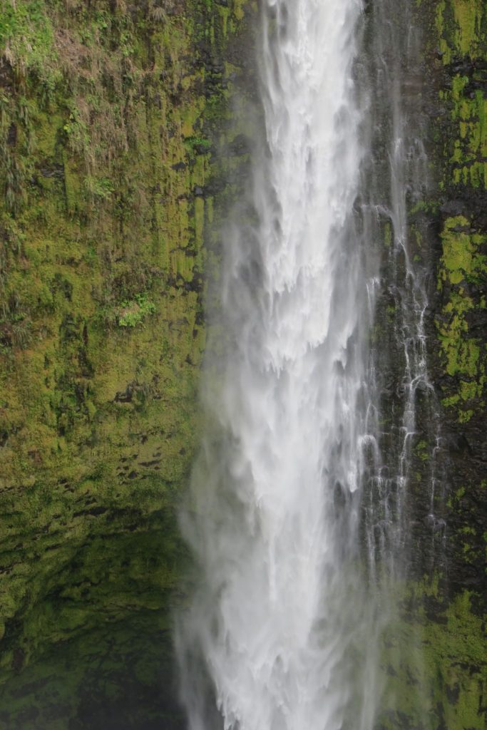 Akaka Falls (IMG_0229)