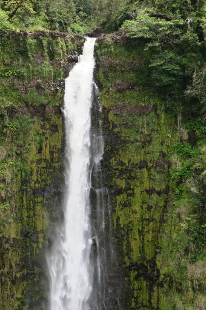 Akaka Falls (IMG_0232)