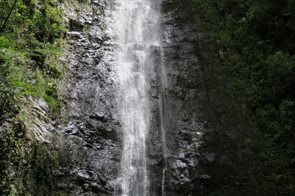 Manoa Falls (IMG_1706)