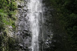 Manoa Falls (IMG_1706)