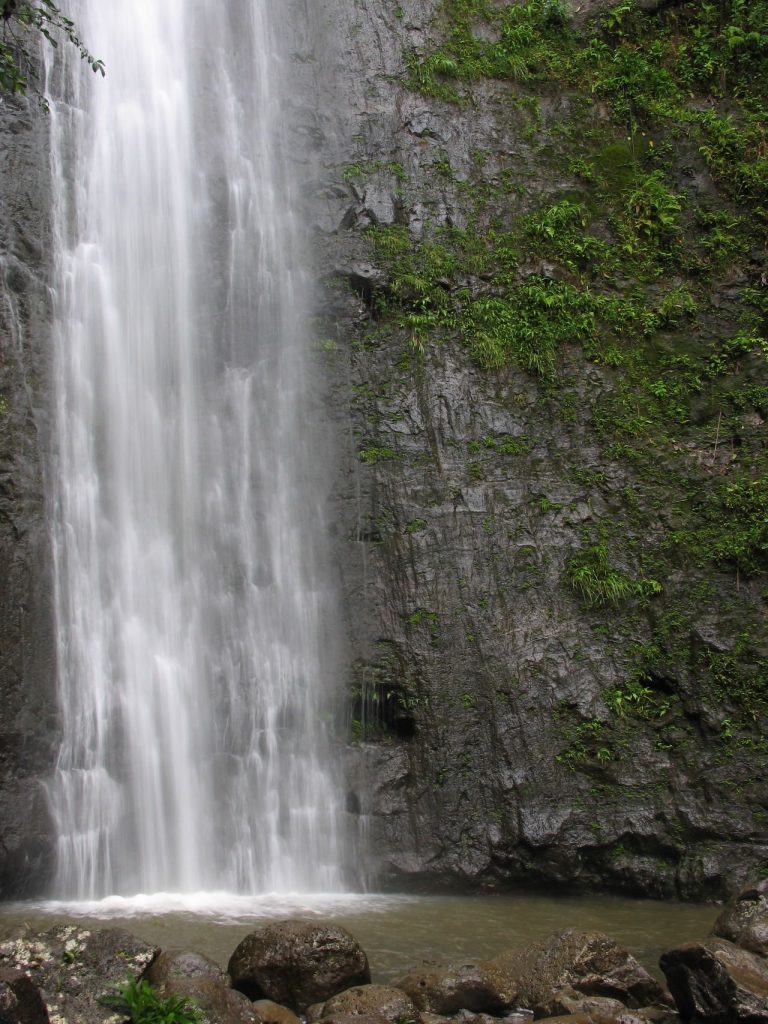 Manoa Falls (IMG_1889)