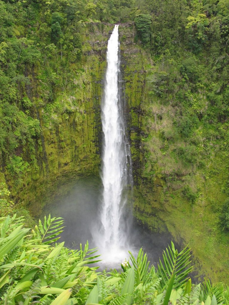 Akaka Falls (IMG_2656)