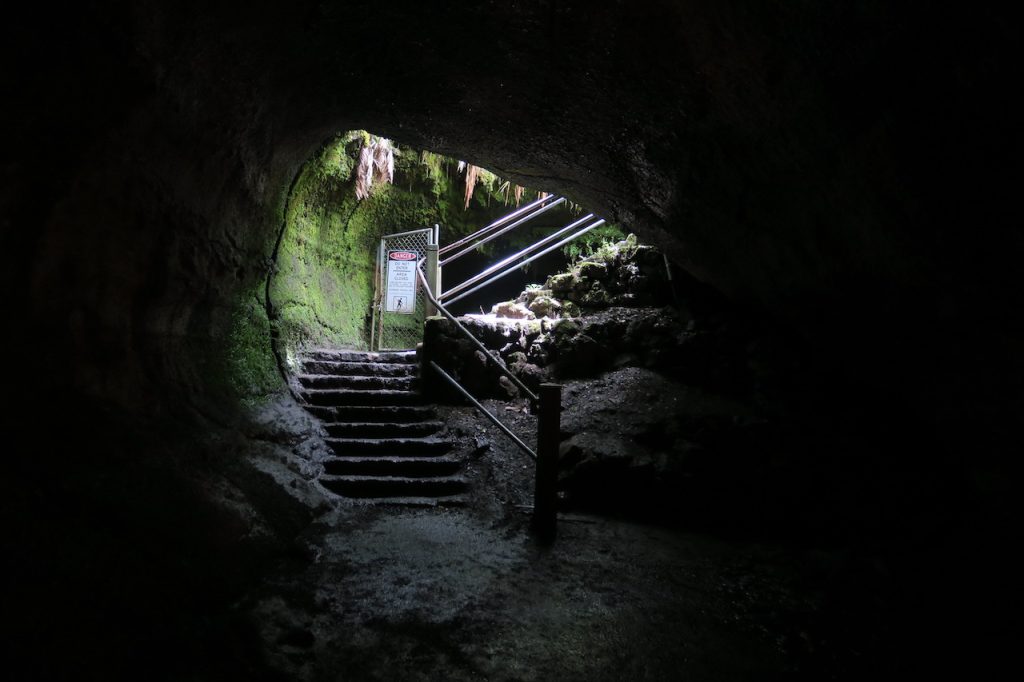 Thurston Lava Tube Exit (IMG_5820)