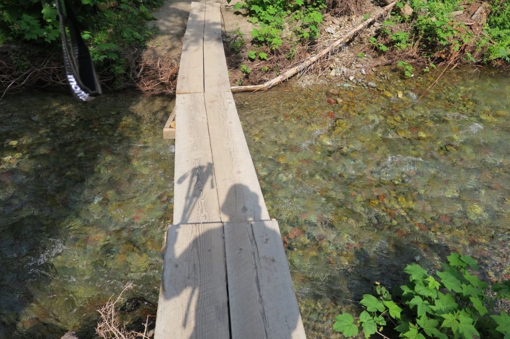 Bridge Over Stream Self-Portrait (IMG_5942)