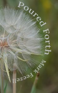 Poured Forth by Mark Feezell Book Cover