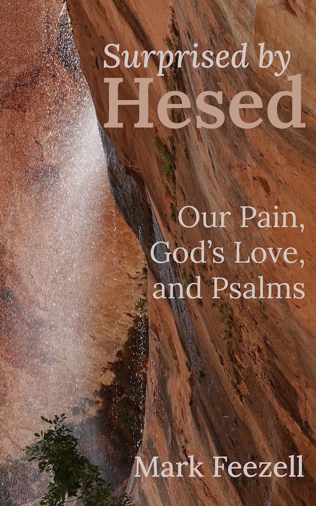 Surprised by Hesed Book Cover